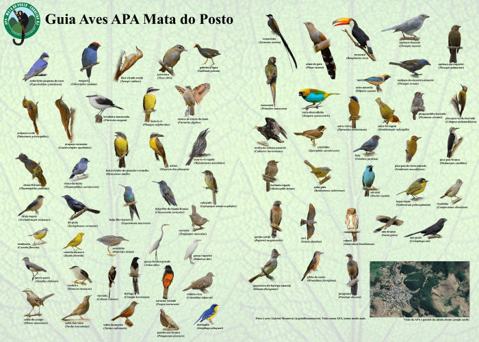 Guia Aves da Região Bragantina on the App Store